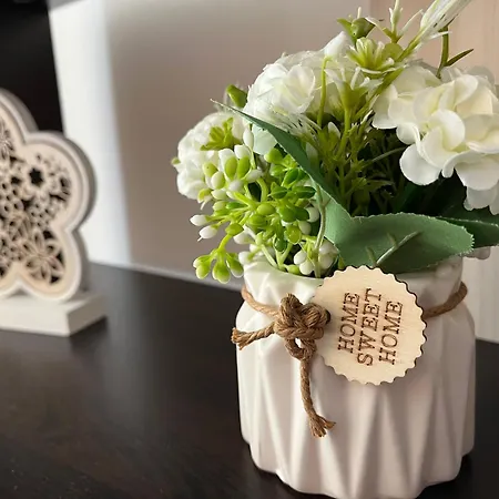 Apartment Cozy In *
